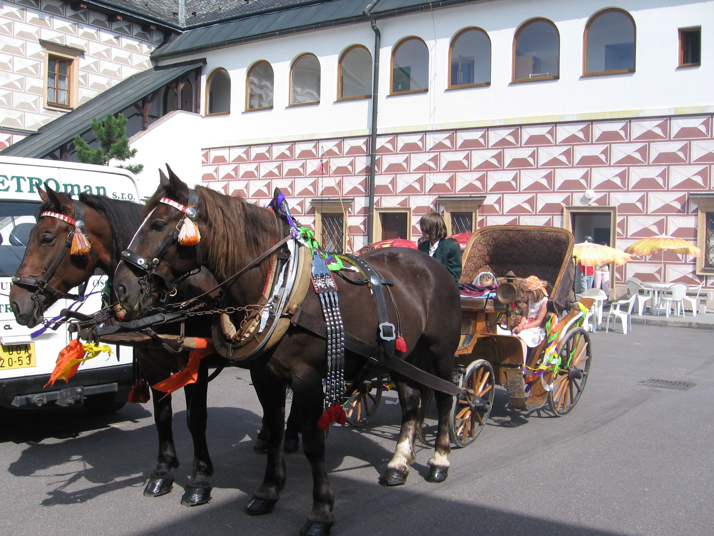 Gomur a Květa